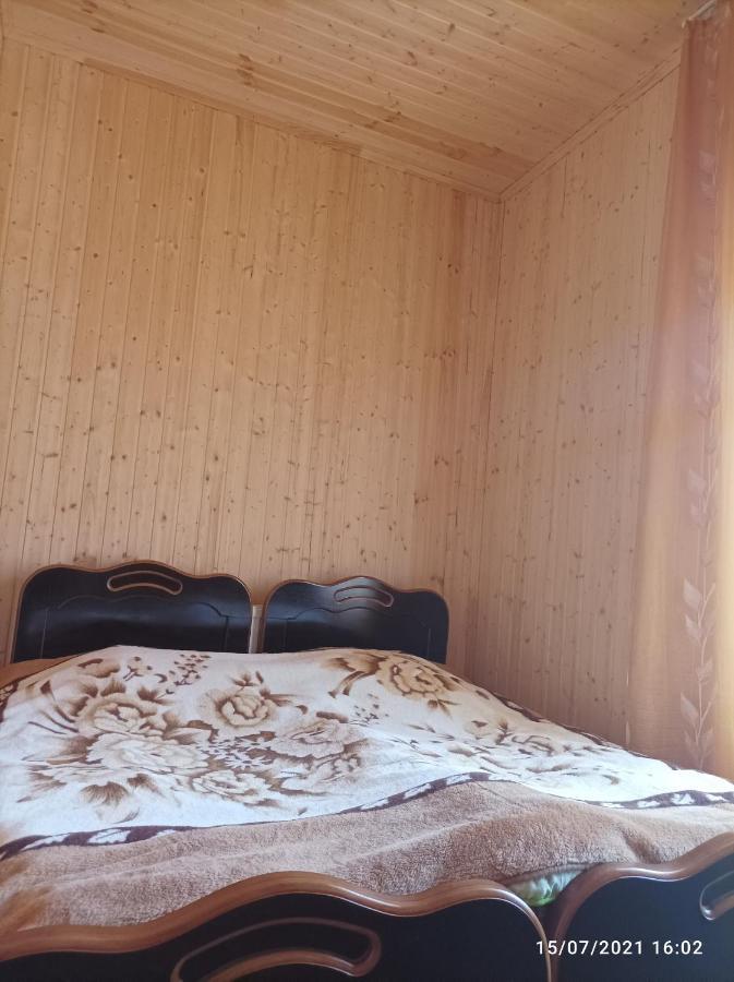 Maizer Qaldani Guesthouse Chvabiani Ngoại thất bức ảnh